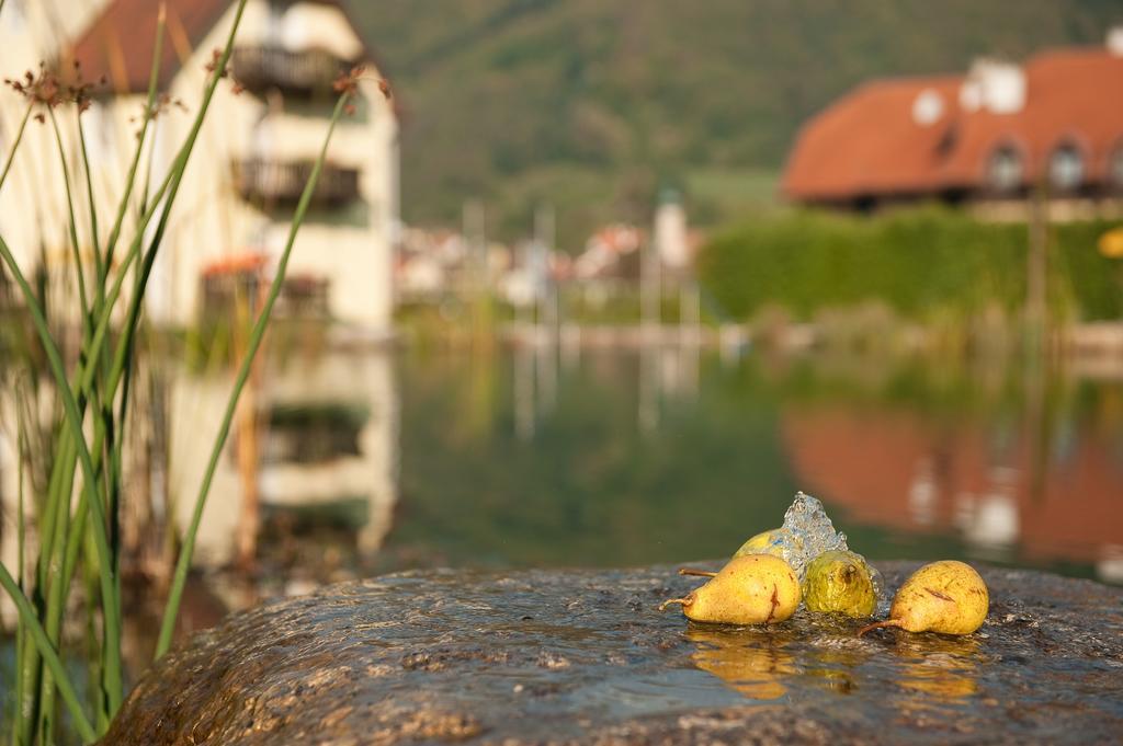 Romantikhotel Residenz Wachau Aggsbach Exterior photo